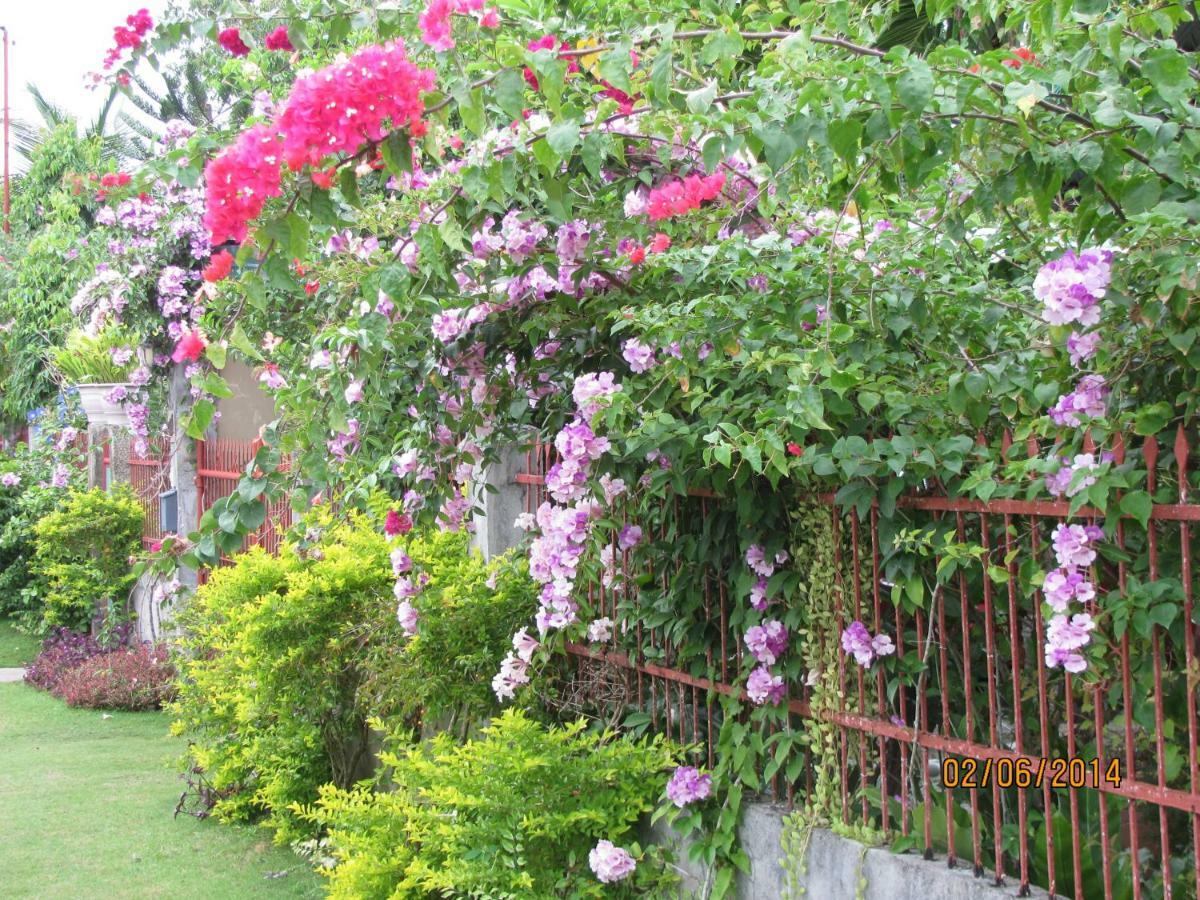 Villa 301 B&B Baclayon Εξωτερικό φωτογραφία